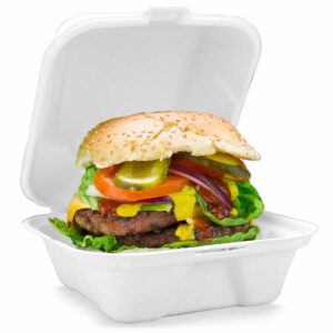 Disposable Burger Boxes