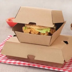 Eco-Friendly Burger Boxes